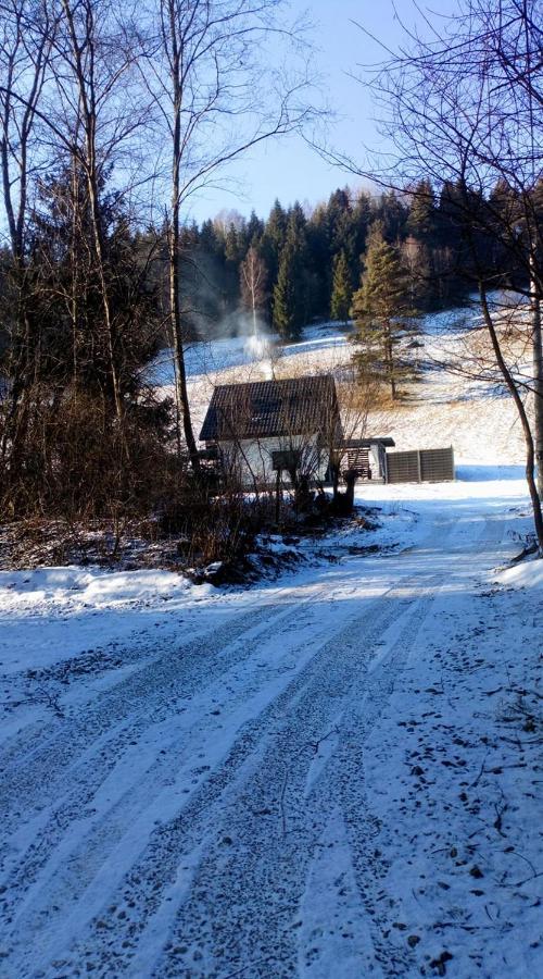 Lesny Zaulek Villa Muszyna Exterior foto