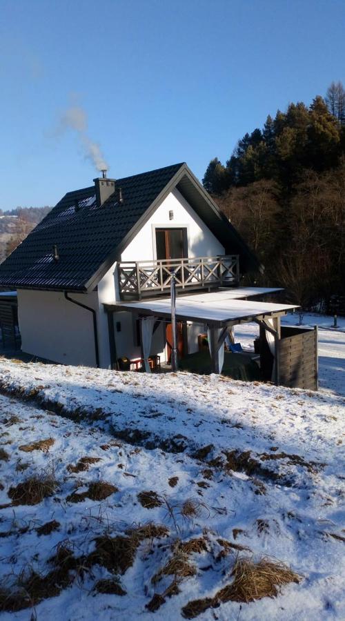 Lesny Zaulek Villa Muszyna Exterior foto