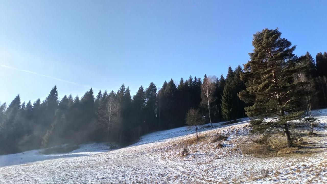 Lesny Zaulek Villa Muszyna Exterior foto